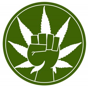 Konoplja - Kanabis - Marihuana 