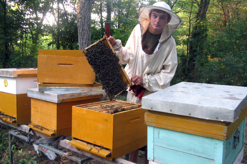 Упознајте најмлађег пчелара у Србији !