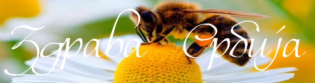 Пчеларство Здрава Србија