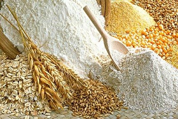 Najpogonije sorte pšenice za organsku proizvodnju 