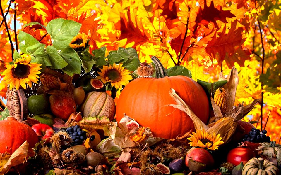 Септембарска благодарност и доброплодност
