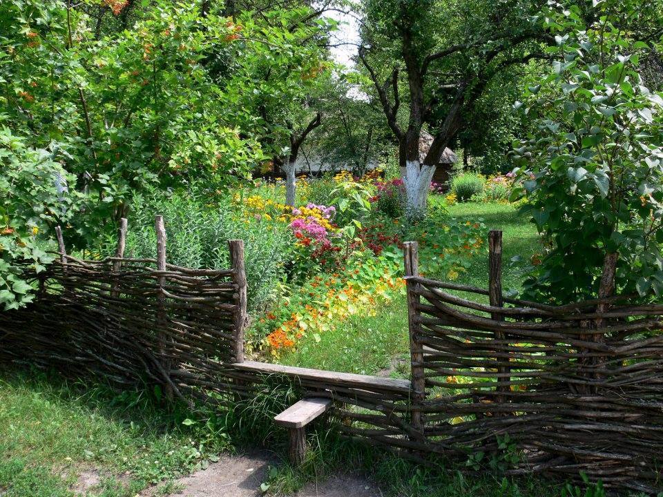 Корисне биљке у повртњаку