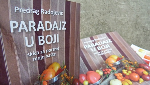 Paradajz u boji         