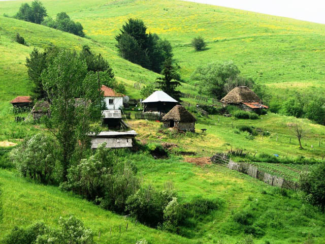 Zašto u Srbiji nestaju biljke i životinje