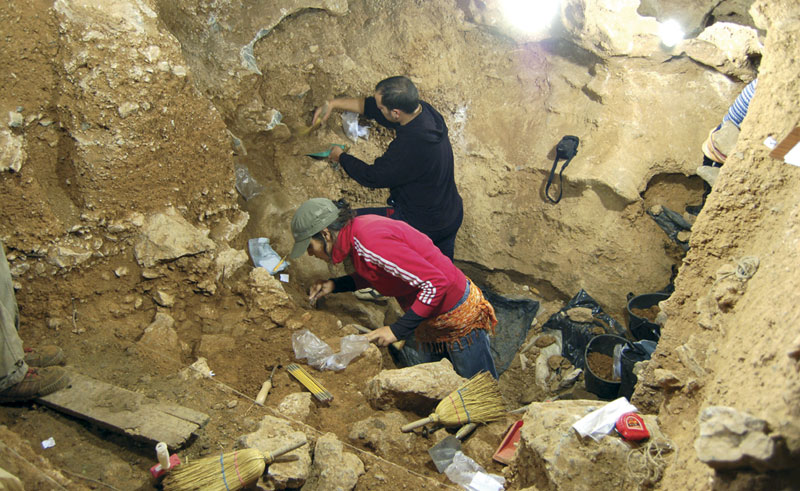 Fosil sa Balkana baca novo svetlo na ljudsku evoluciju