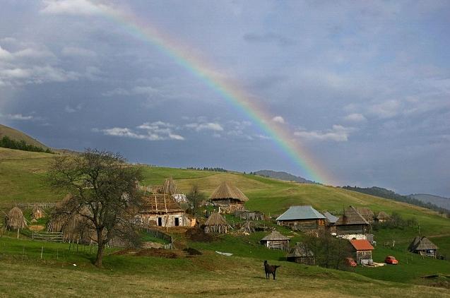 Perspektiva organske proizvodnje u Šumadiji