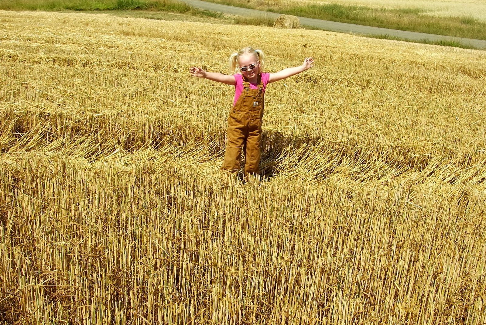 Pravilno tretiranje strništa nakon žetve