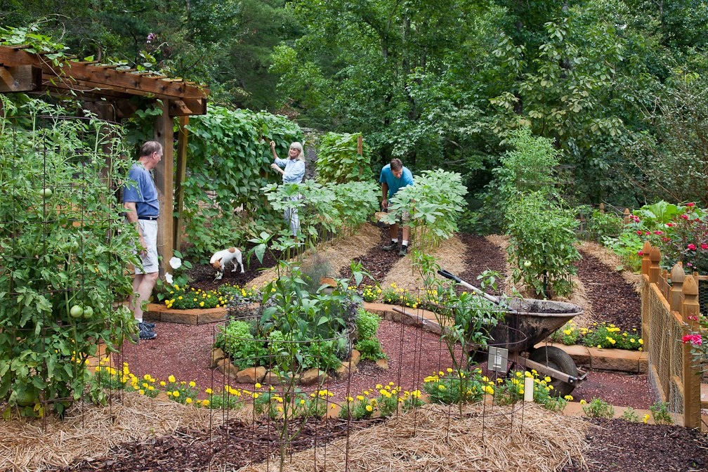 Đubrenje i zaštita organskog vrta