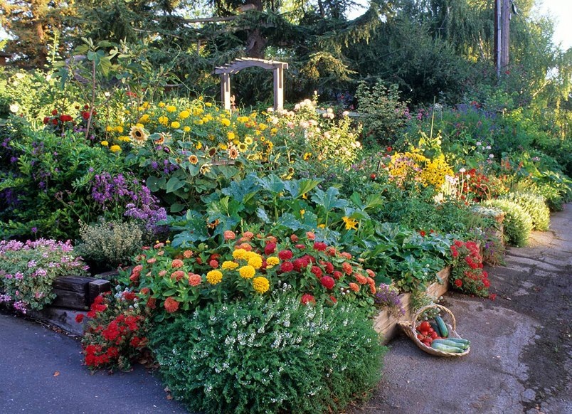 Uloga cvetnih koridora u organskoj bašti