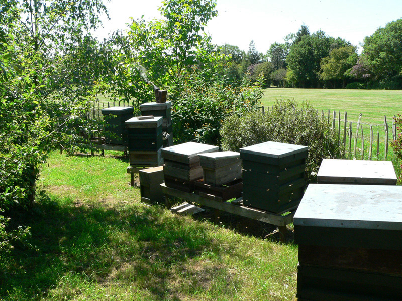 U septembru dovršiti poslove u pčelinjaku