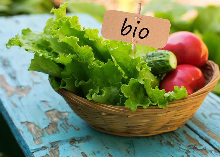 Zaštita povrća od bolesti u organskoj proizvodnji