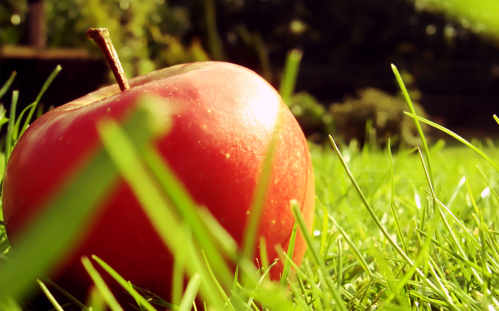 Voskiranje jabuka – činjenice, razlozi i zdravstvena bezbednost