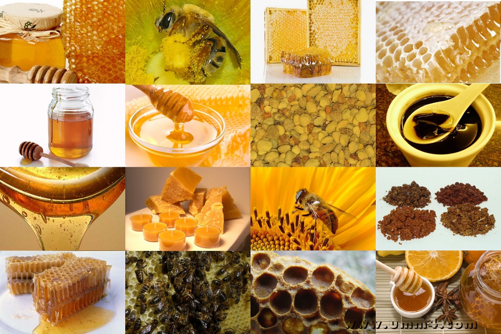 Lečenje pčelinjim proizvodima (5)