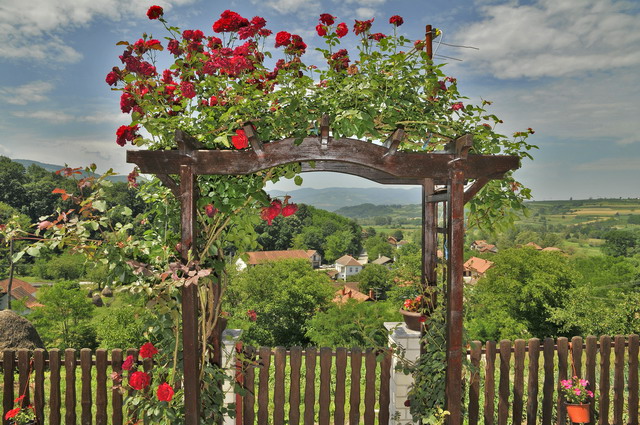 RURALNE MANIFESTACIJE