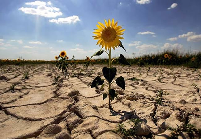 KLIMATSKE PROMENE I POLjOPRIVREDA